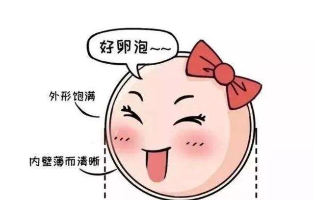 卵泡扁的女性怀孕胎儿会畸形吗