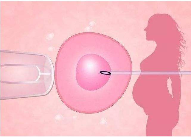 试管移植后几天能测出来怀孕？