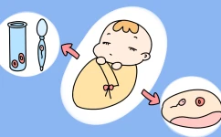 试管婴儿助孕中卵泡数、取卵数和胚胎数，有什么不同?