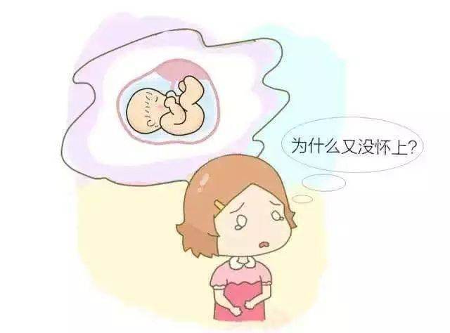卵泡大小会影响怀孕吗