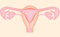 妇科输卵管造影多少钱 属于手术吗