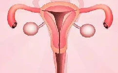 子宫内膜增厚的结果是什么？子宫内膜增厚怎么检查？