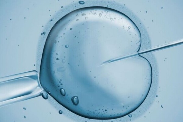 左侧输卵管堵塞不孕，三代试管婴儿成功怀男宝