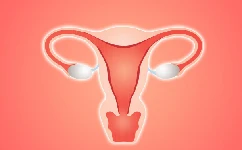 不来月经且2.1子宫内膜做试管婴儿能成功吗?