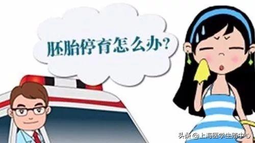 胚胎好好的就停止了发育？做试管婴儿你需要知道这4点！