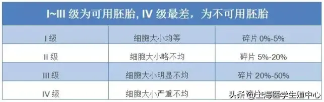 一分钟搞懂试管婴儿胚胎报告！