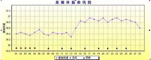 一击即中的秘密？基础体温推算排卵期了解下