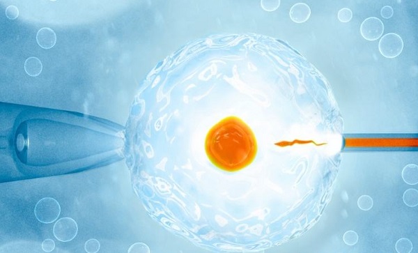 胚胎冷冻会影响质量吗 可以保存多久