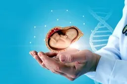 精子DNA碎片率多少正常 碎片率高可以做试管婴儿吗