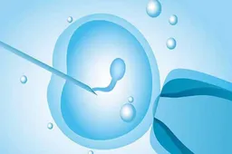 地屈孕酮片保胎吃多久就可以停 能催月经吗