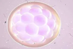 多卵巢是什么疾病啊(多卵巢是何种疾病？)