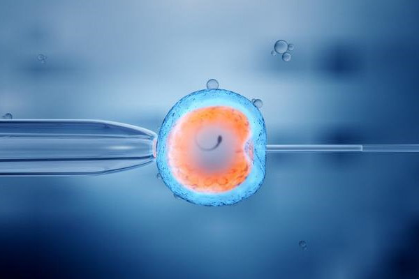 胚胎培养是什么意思？胚胎培养需要几天？ 