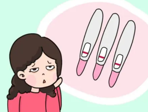 双子宫容易怀双胞胎吗 双子宫女性怀孕应注意什么
