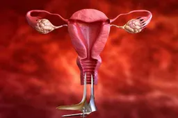 输卵管造影检查痛苦吗 做完后多久可以怀孕