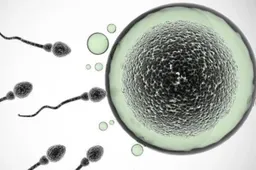 生殖道感染对生育的影响有哪些 会导致不孕不育吗