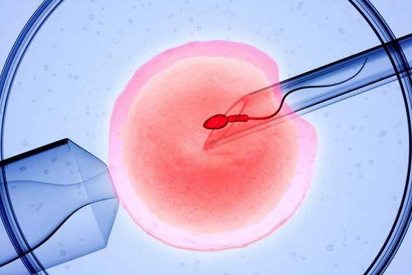 鲜胚移植后1-14天每天的症状是怎样的