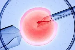 冻胚移植失败的原因有哪些 会受什么因素影响
