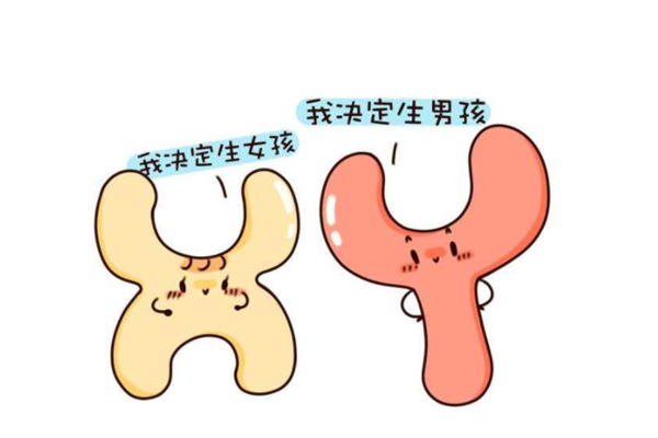 秦皇岛三代试管要男孩准确率，了解科学技术背后的原理