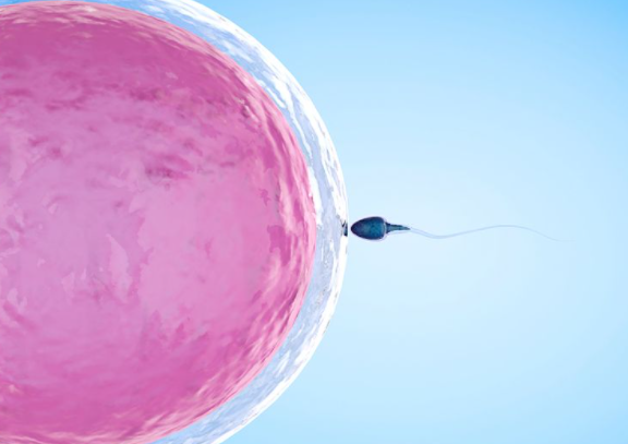 同源染色体异常是怎么导致的 能做第三代试管婴儿吗