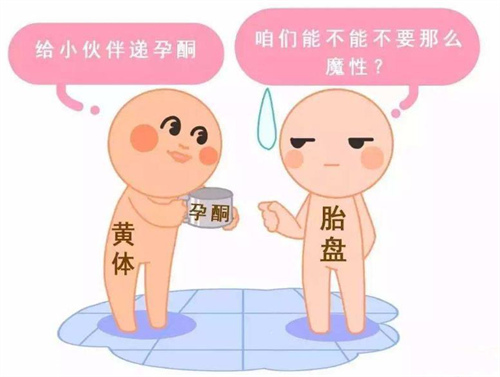 武汉康健妇婴医院试管费用多少？武汉康健妇婴医院做试管婴儿正规吗？