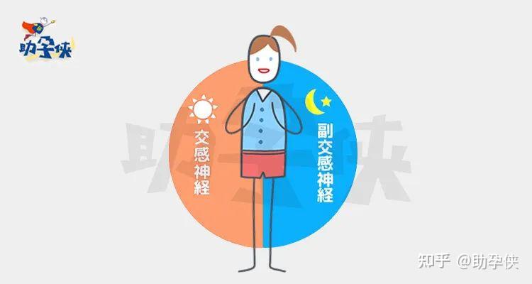 备孕期睡眠问题怎么办？解决方案就在这啦！