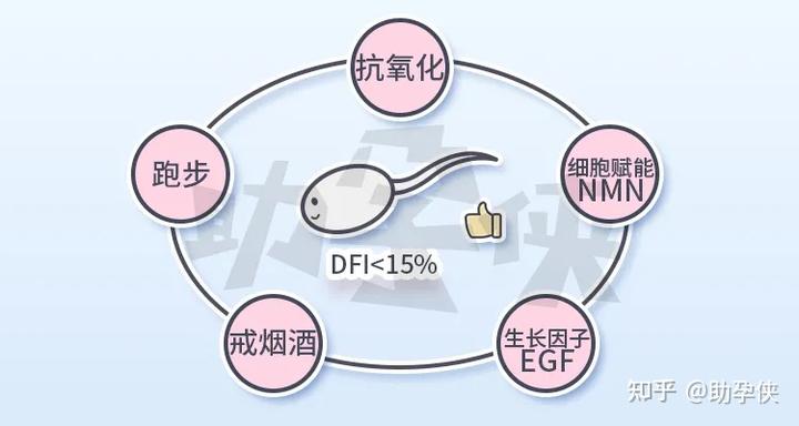 男士生育力检测方式及备孕建议